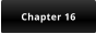 Chapter 16
